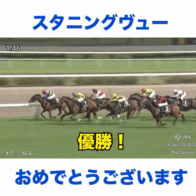 スタニングヴュー号🐎
優勝おめでとうございます🥇
（金成貴史厩舎・三浦皇成騎手）
馬主は（有）木村牧場様。

スタニングヴュー号の勝利に少しでも関わることが出来て嬉しい気持ちで一杯です✨

関係者の皆さま、本当におめでとう御座います👏

#スタニングヴュー
#三浦皇成騎手
#金成貴史厩舎
#スピリットファーム
